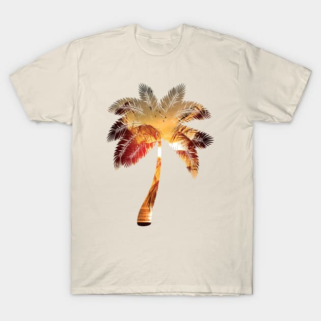 Sunset palm tree T-Shirt by LookFrog